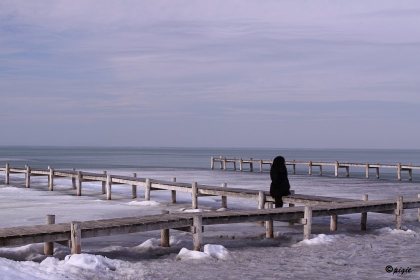 IMG_3876