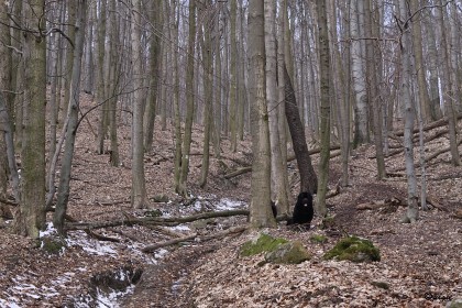 IMG_3384